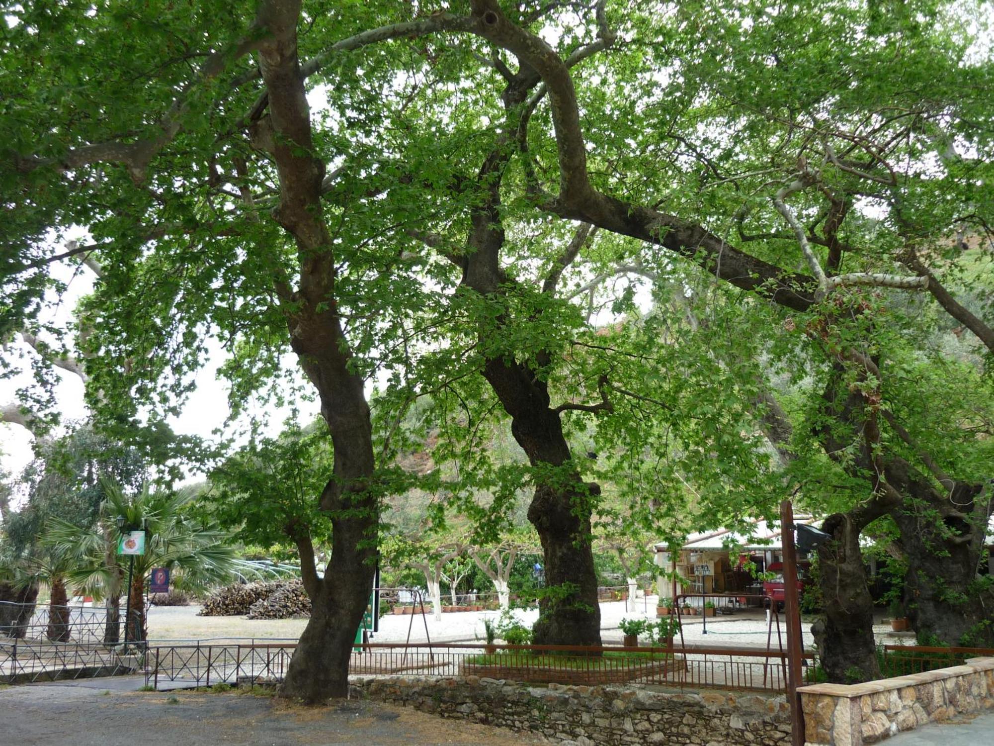 לאוטרה אדיפסאו Pagona Hotel מראה חיצוני תמונה